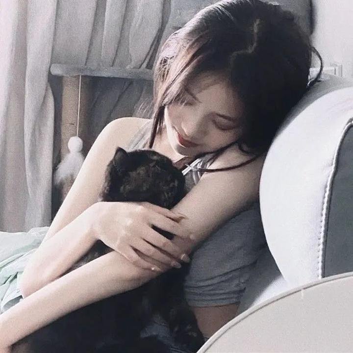 小鸟总动员